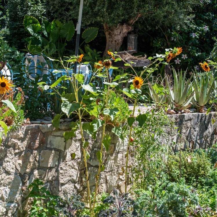 Garten