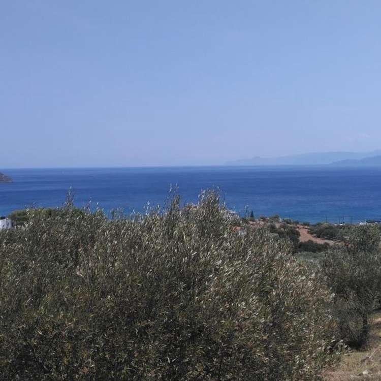 Aussicht