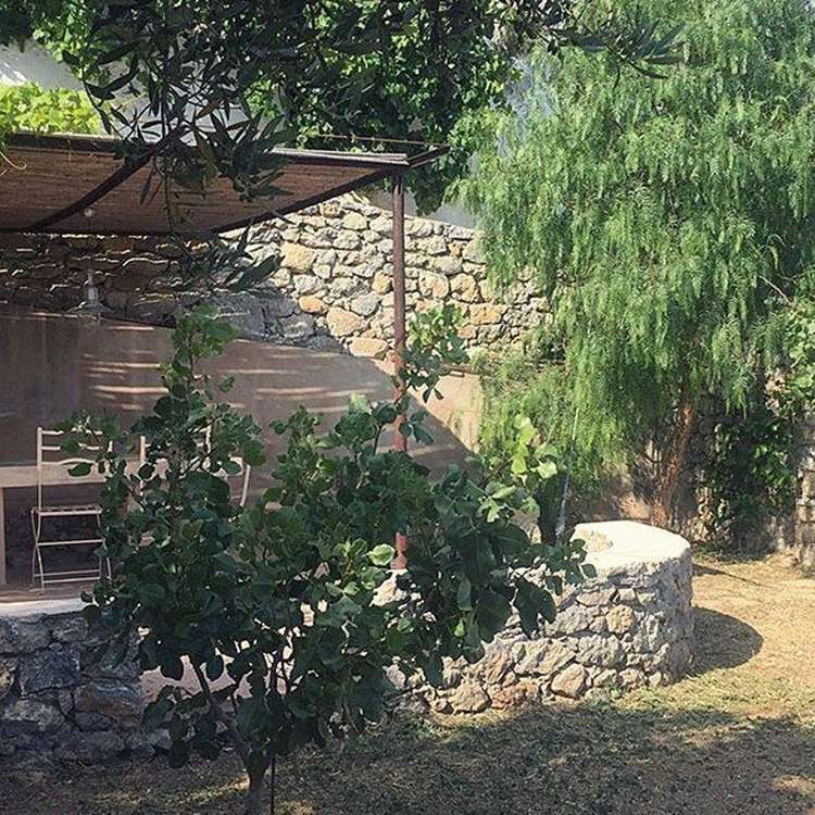 Pergola
