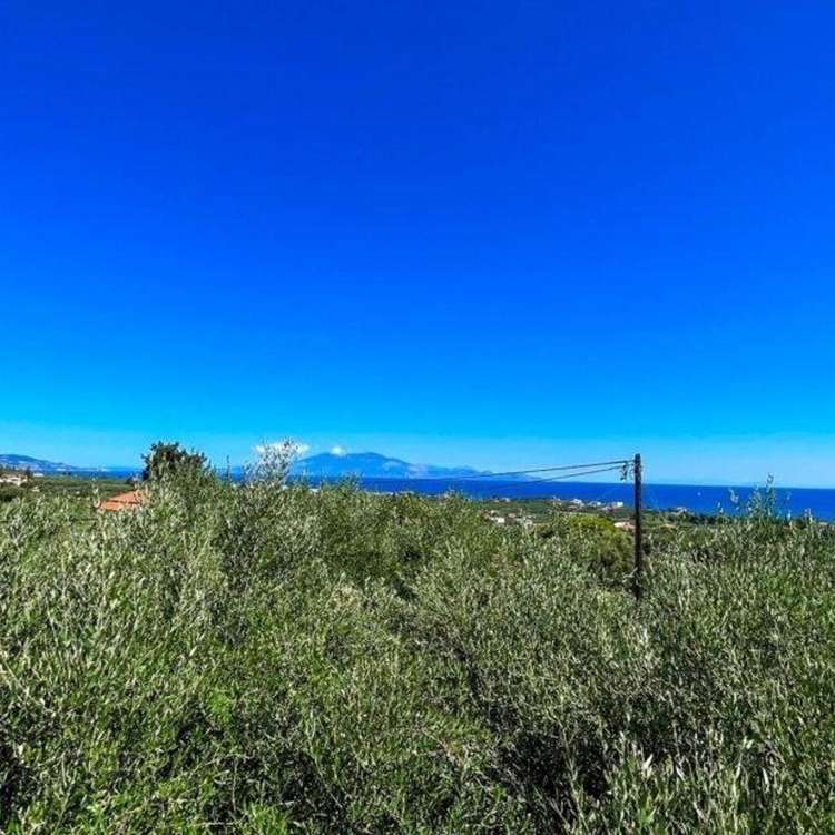 Aussicht