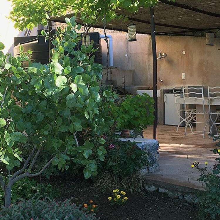 Pergola