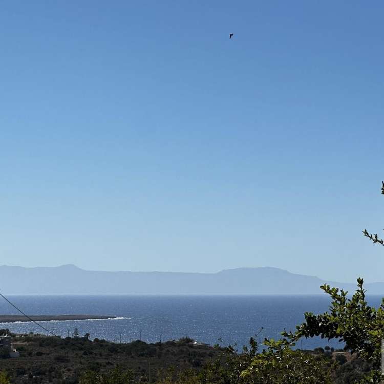 Aussicht