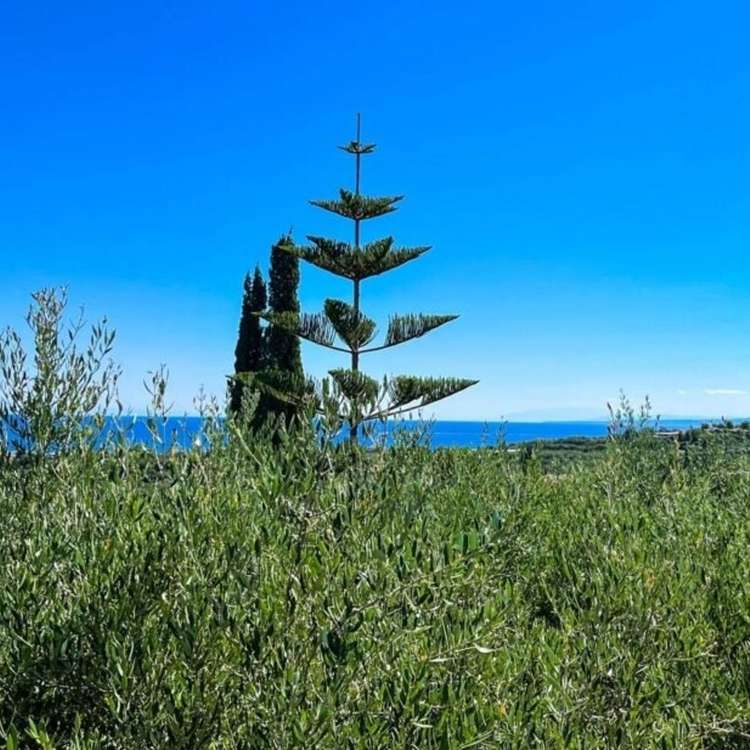 Aussicht