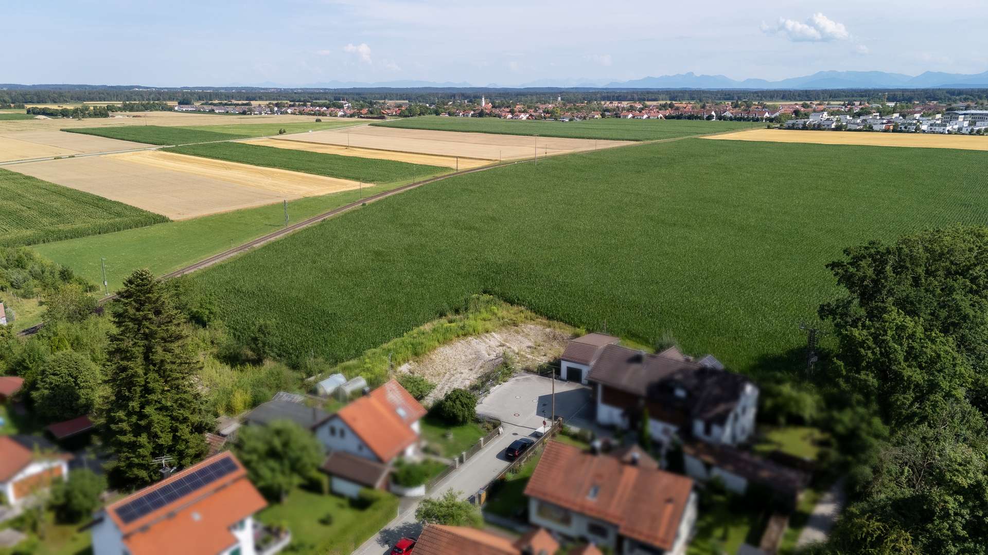 .. Feldblick