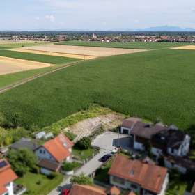 .. Feldblick