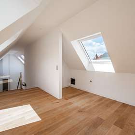 Galerie