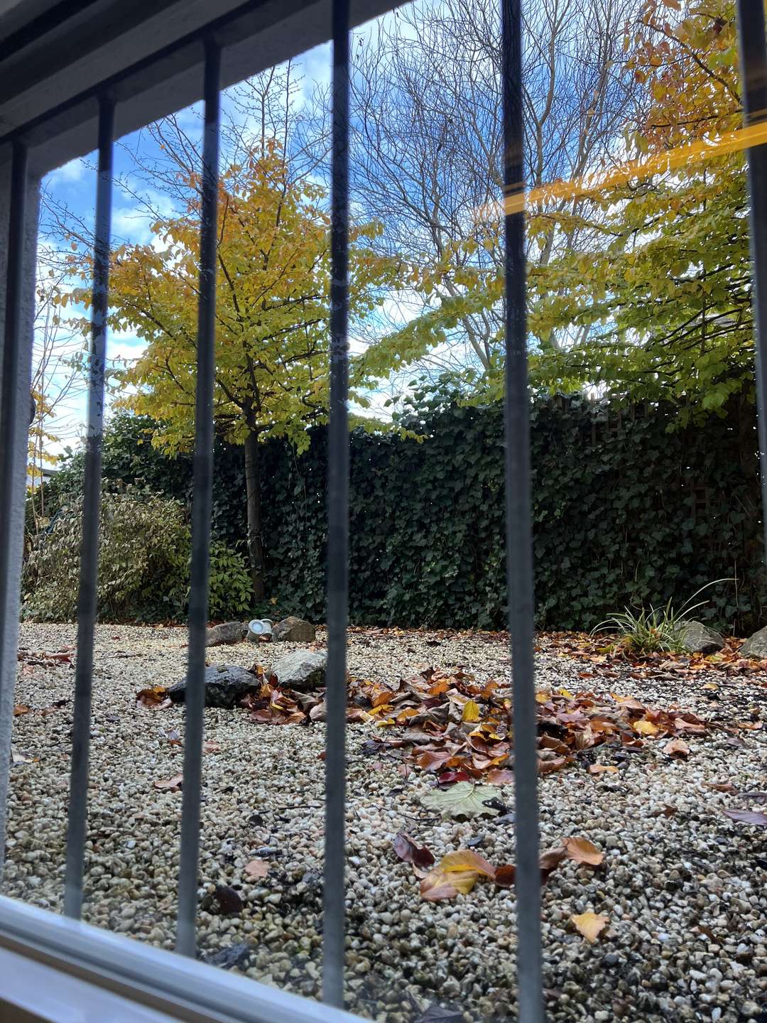 Blick in den Außenbereich