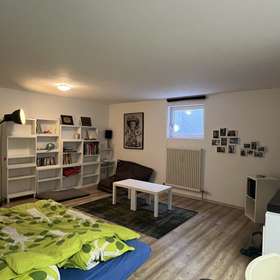 Hobbyraum/Gästezimmer