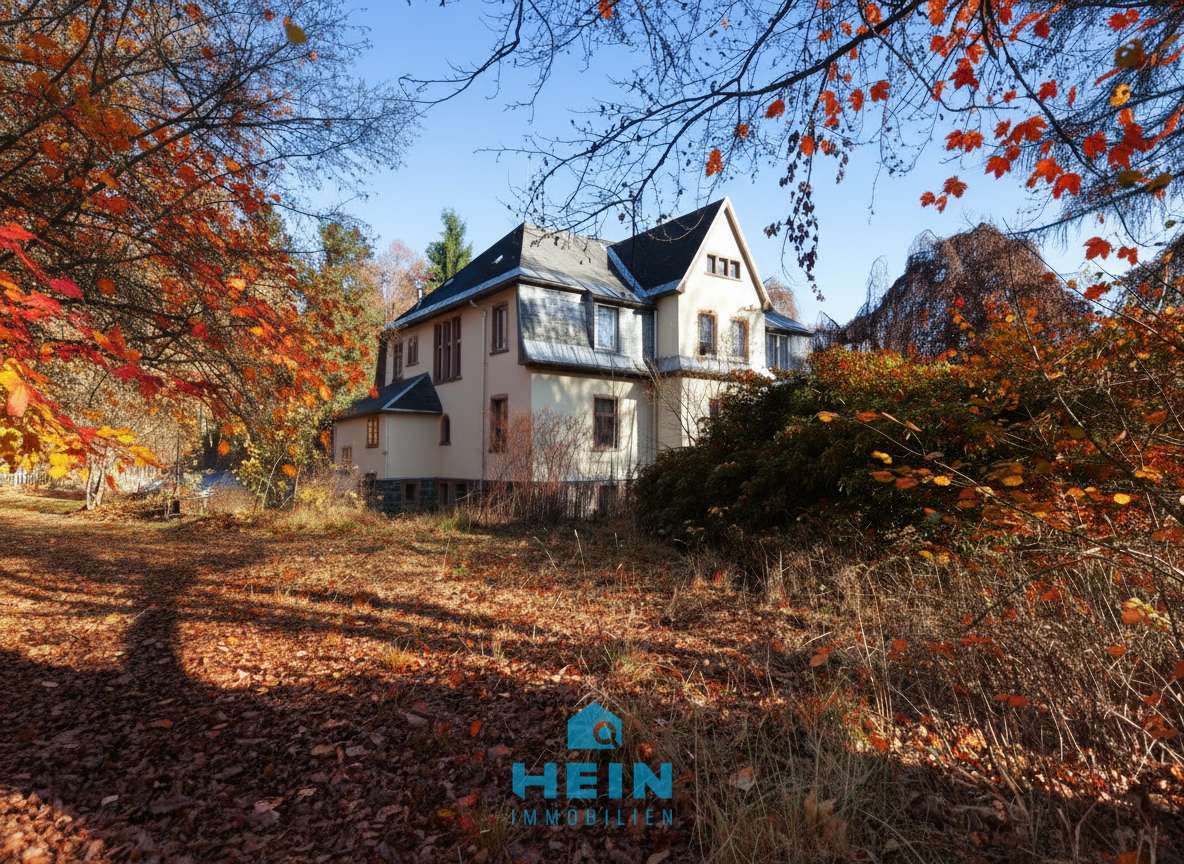Repräsentative Fabrikantenvilla mit Parkgrundstück in Tannenberg