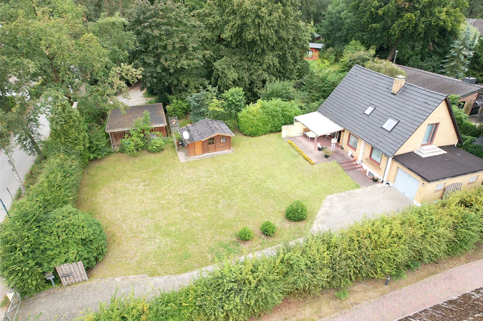 Slide Image