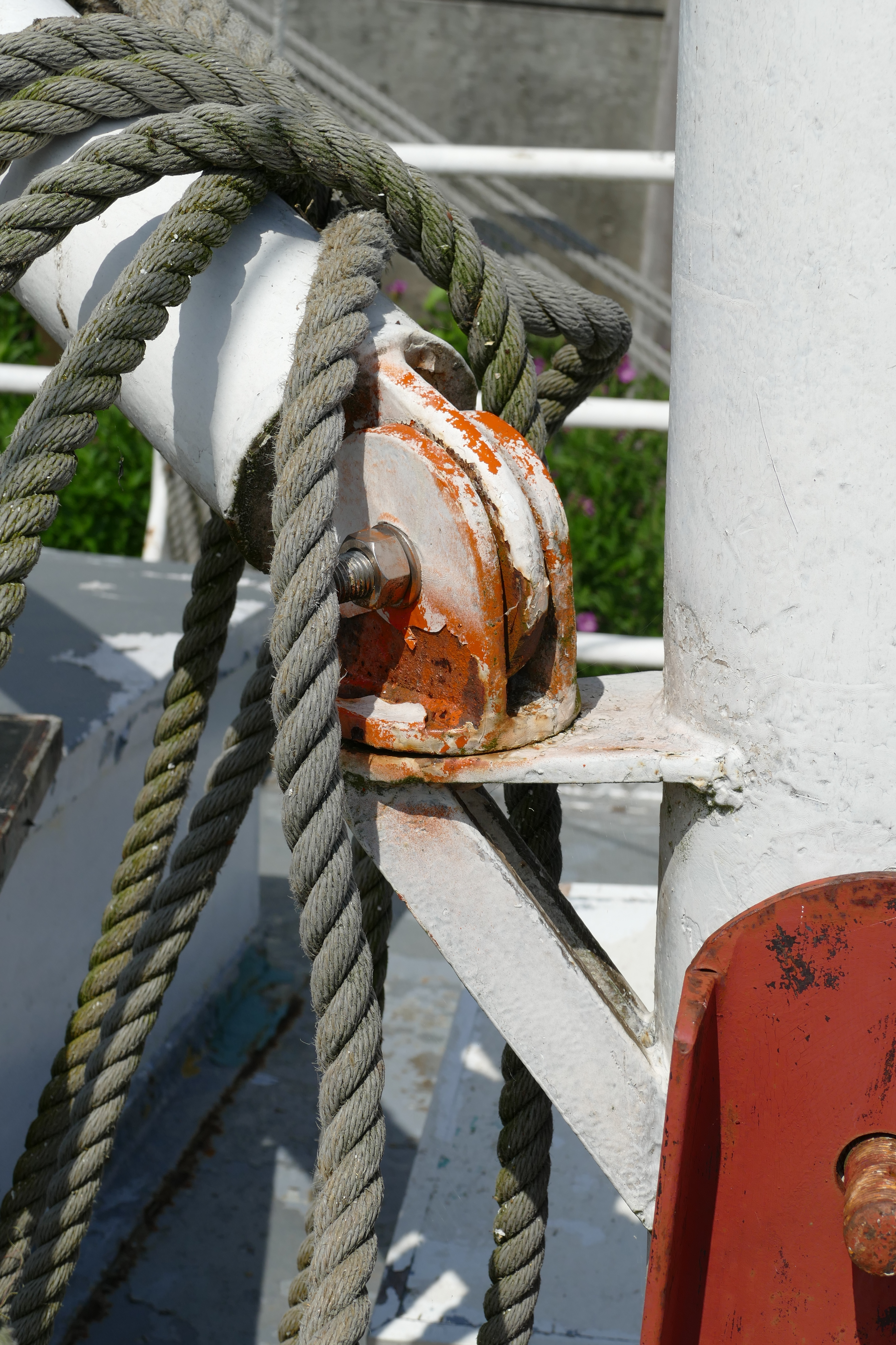 Slide Image
