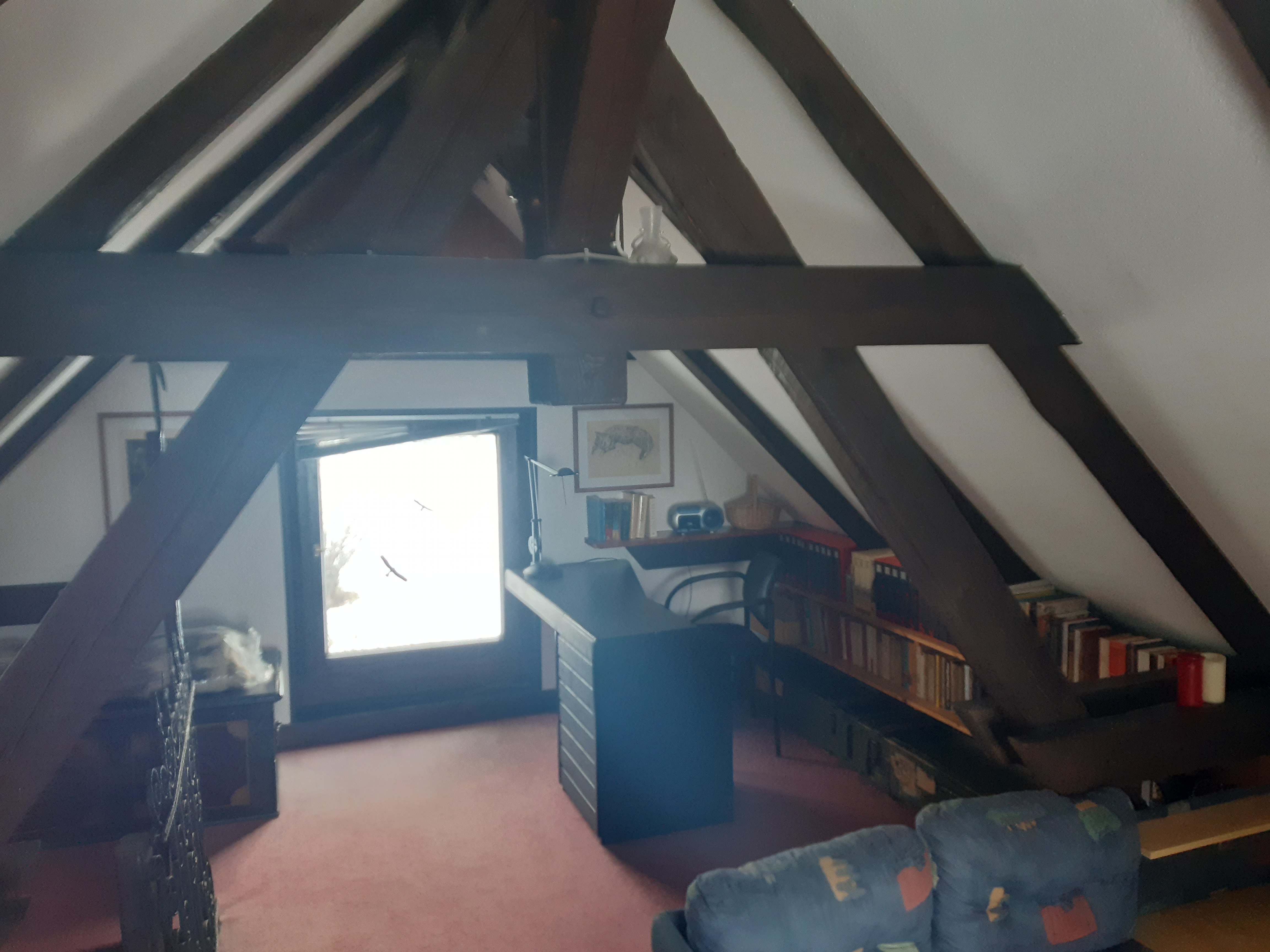 Slide Image