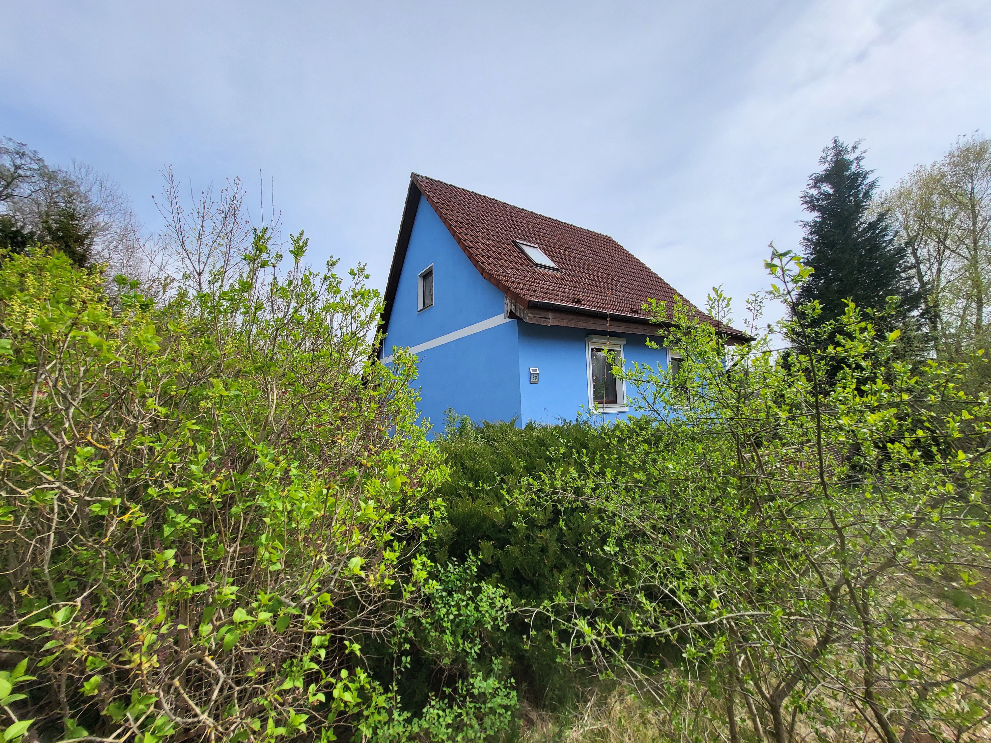 Slide Image