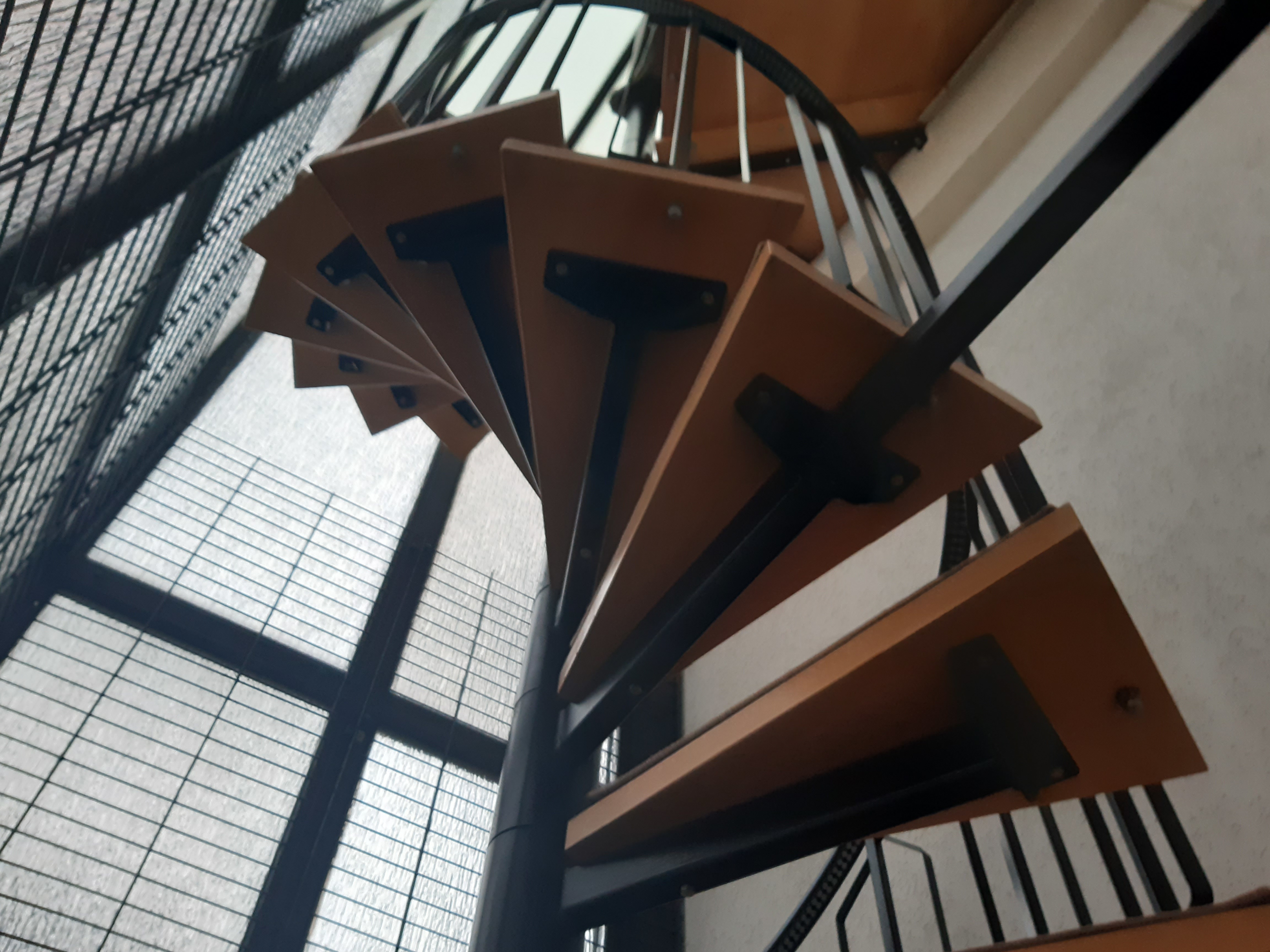 Slide Image