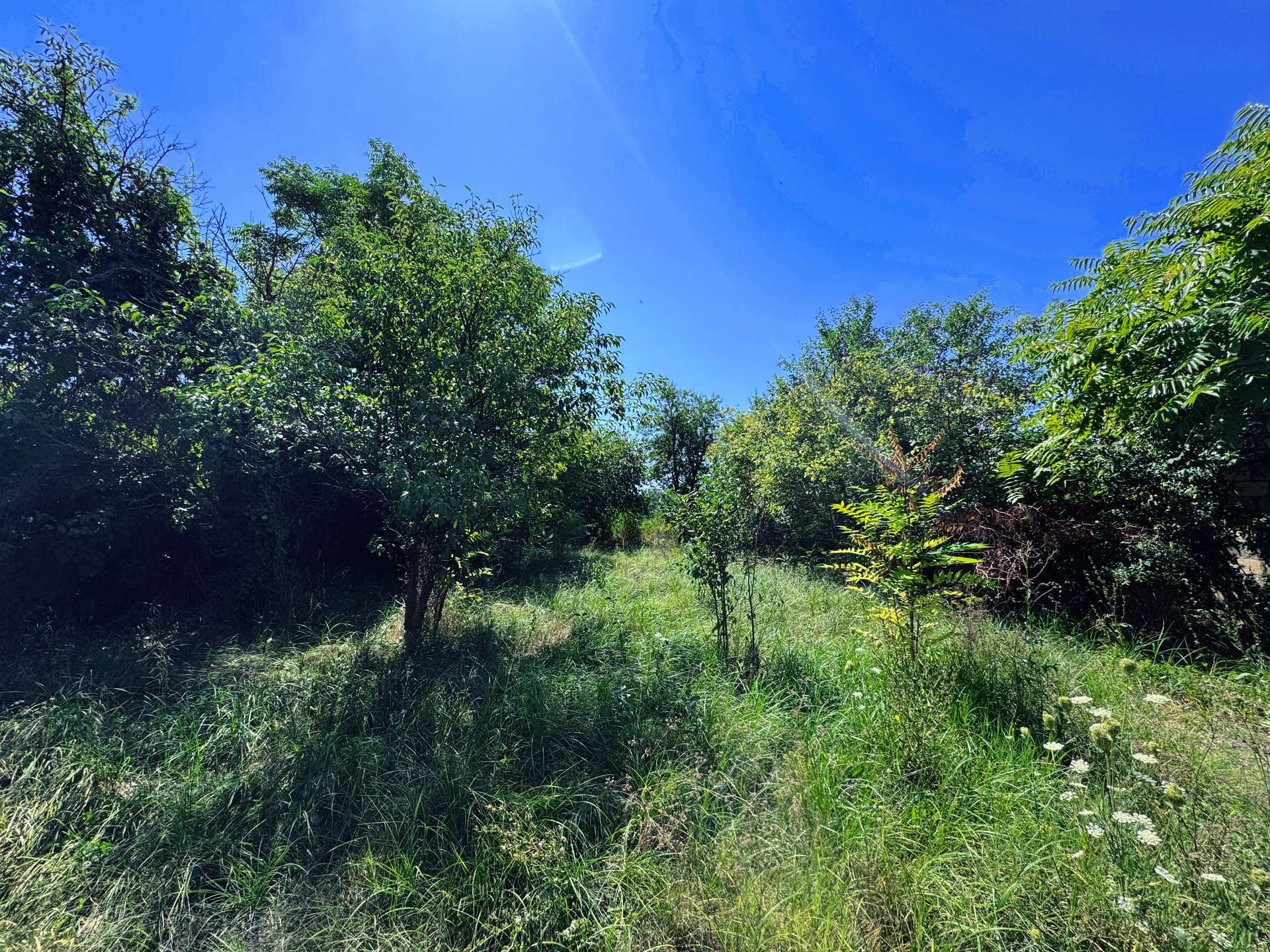 2 room Ház For Eladó in Besence, - 14