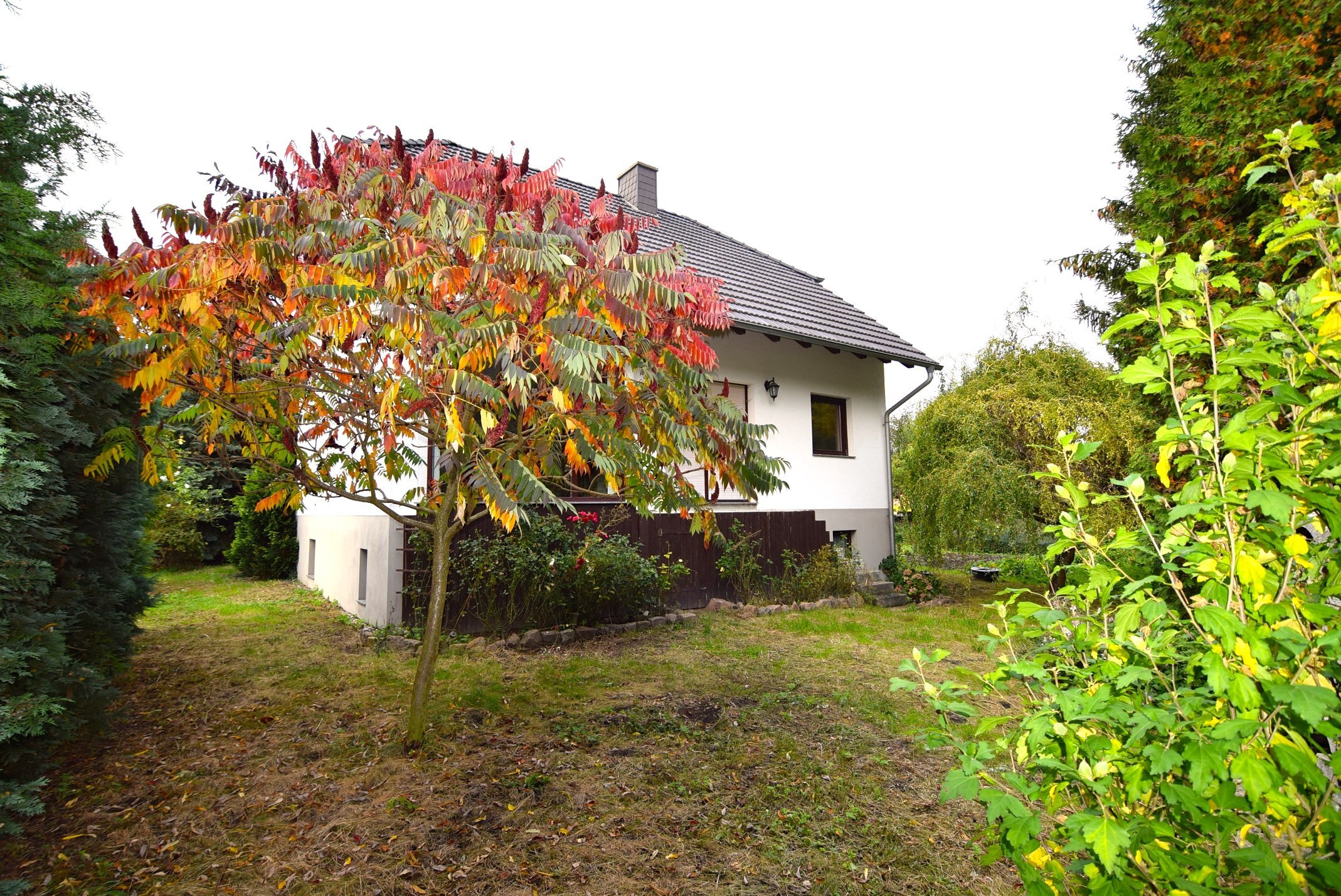 Haus mit Garten ... Leben im Grünen für preisbewusste Stadtflüchtige