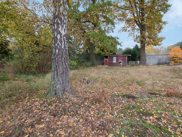 Birke und Gartenhütte, Immobilie in Falkensee