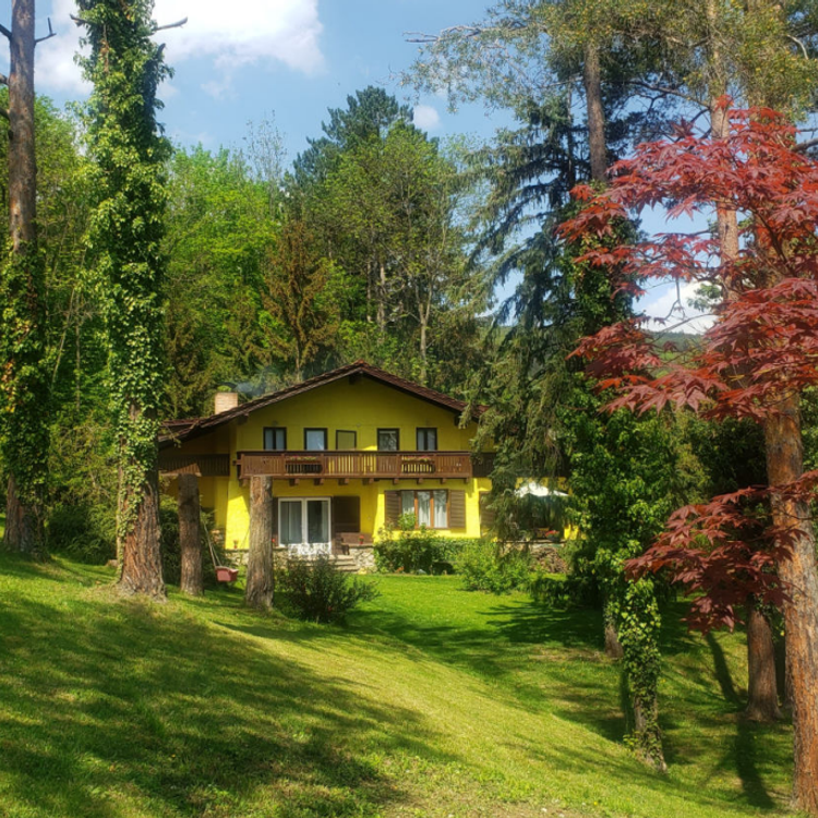Neunkirchen bei Wien - NÖ - Wunderbares EFH mit Parkgrundstück im Grünen (ca. 5.000m² Grund)