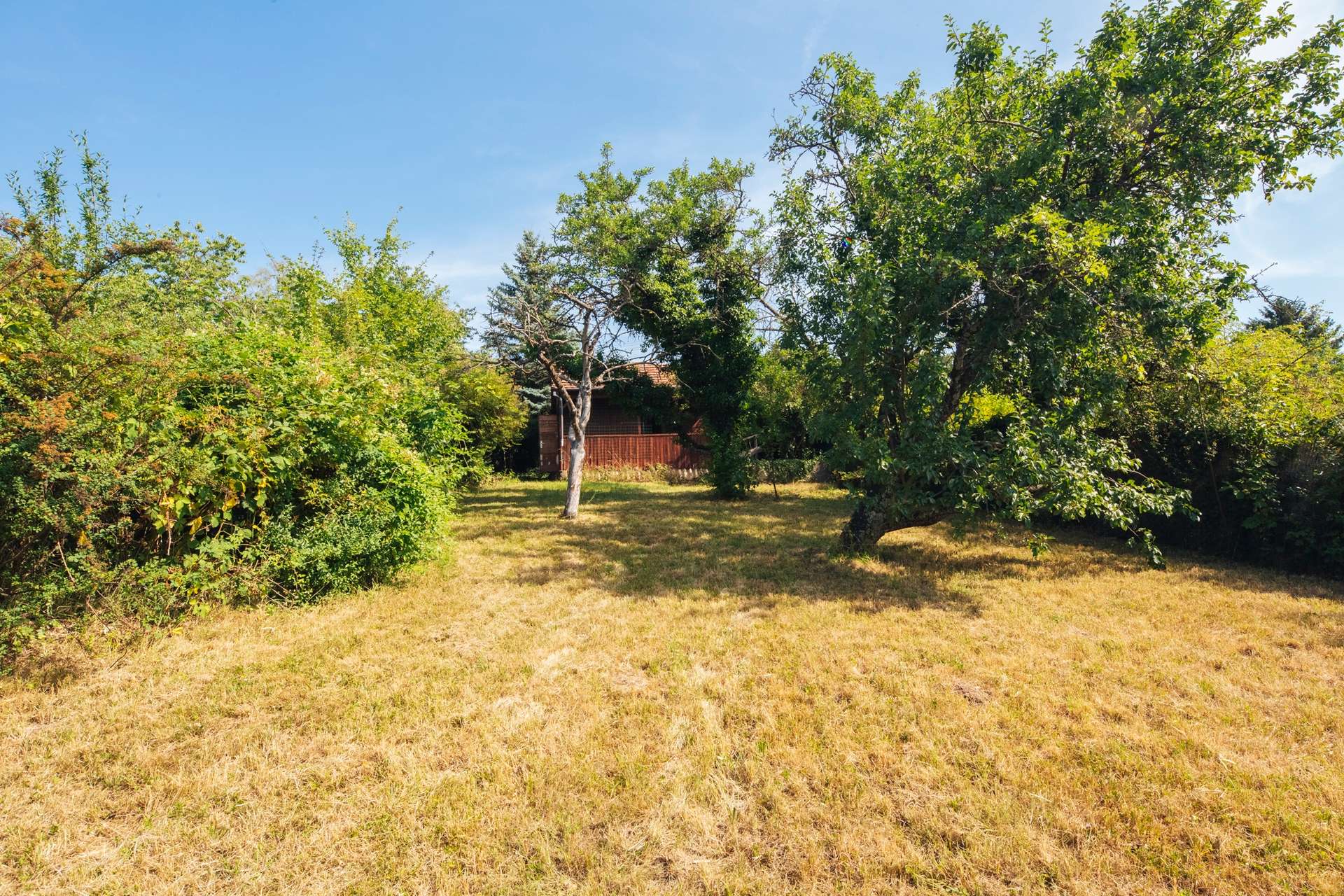 Garten 3
