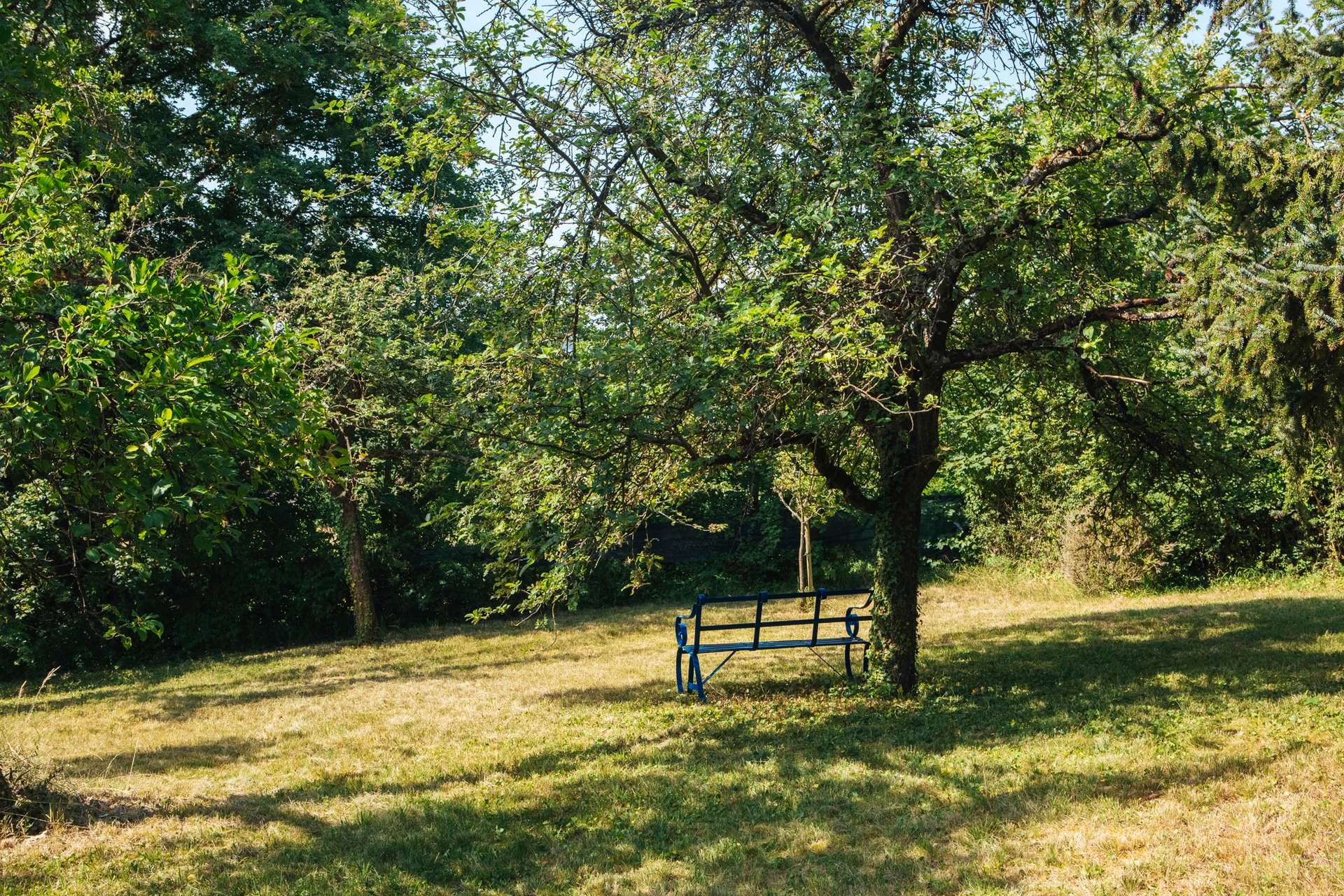Garten 1