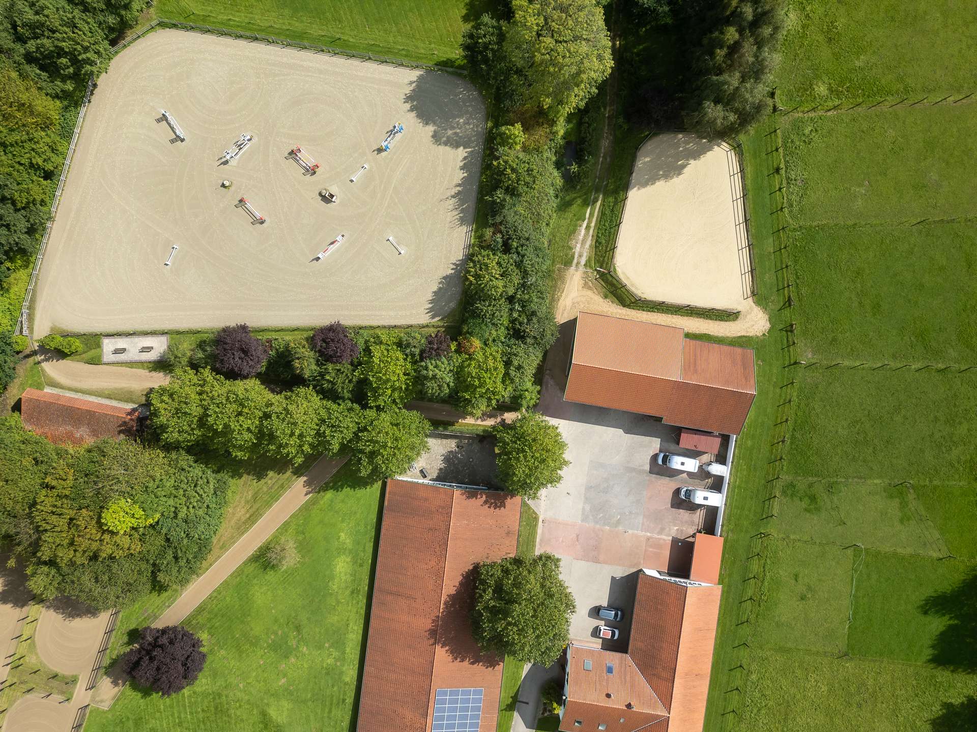 Reiten auf höchstem Niveau
