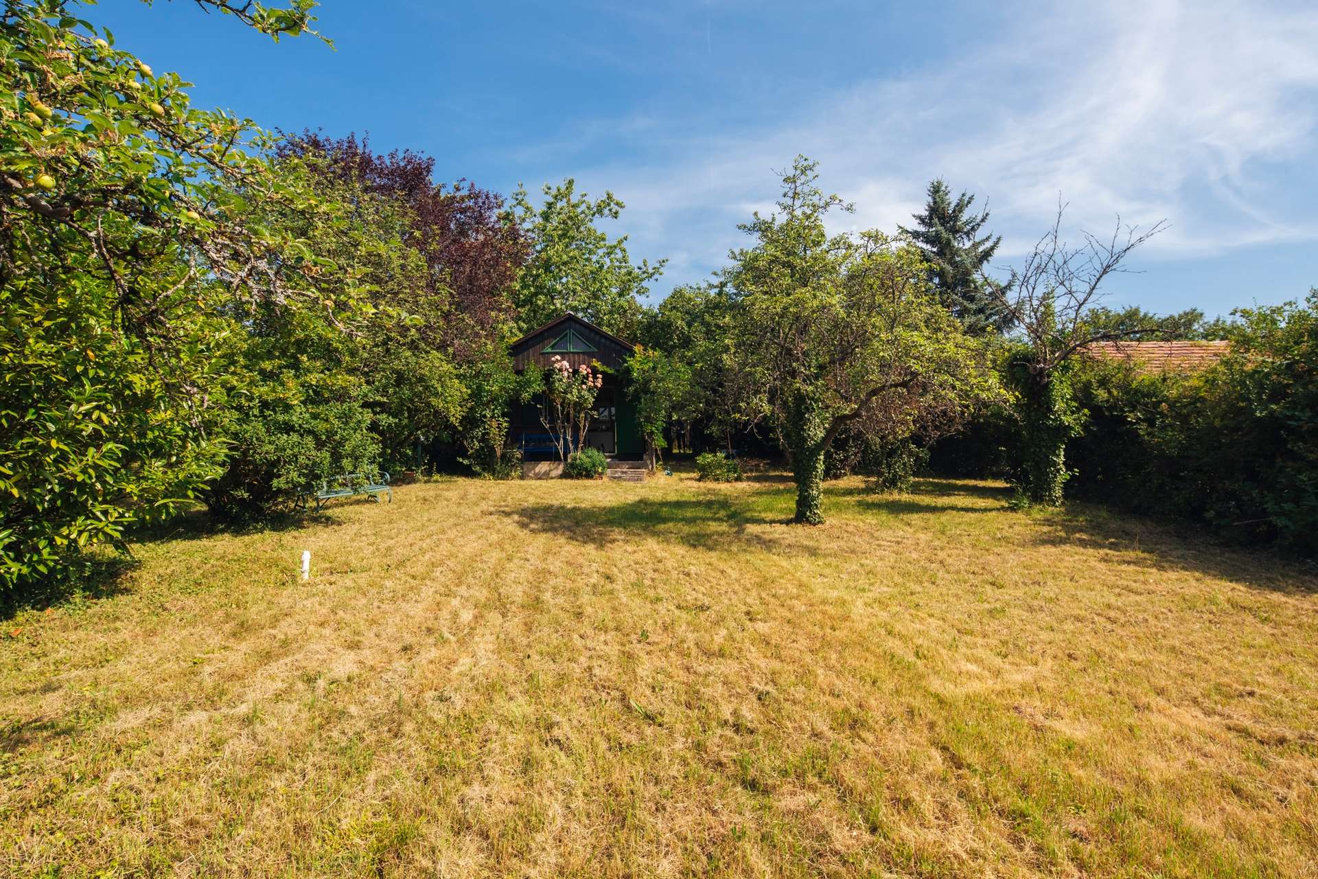 Garten 2