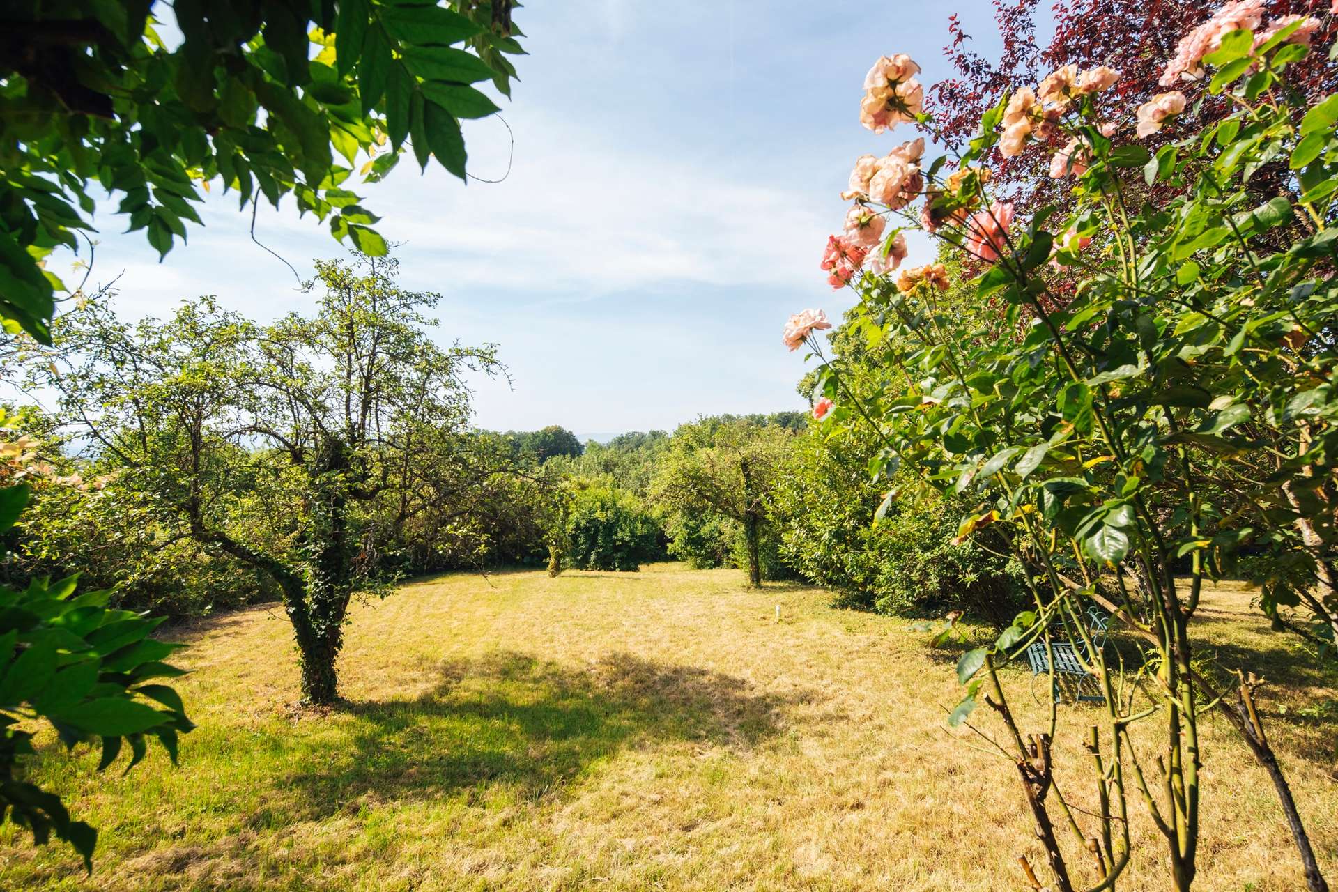 Garten 2