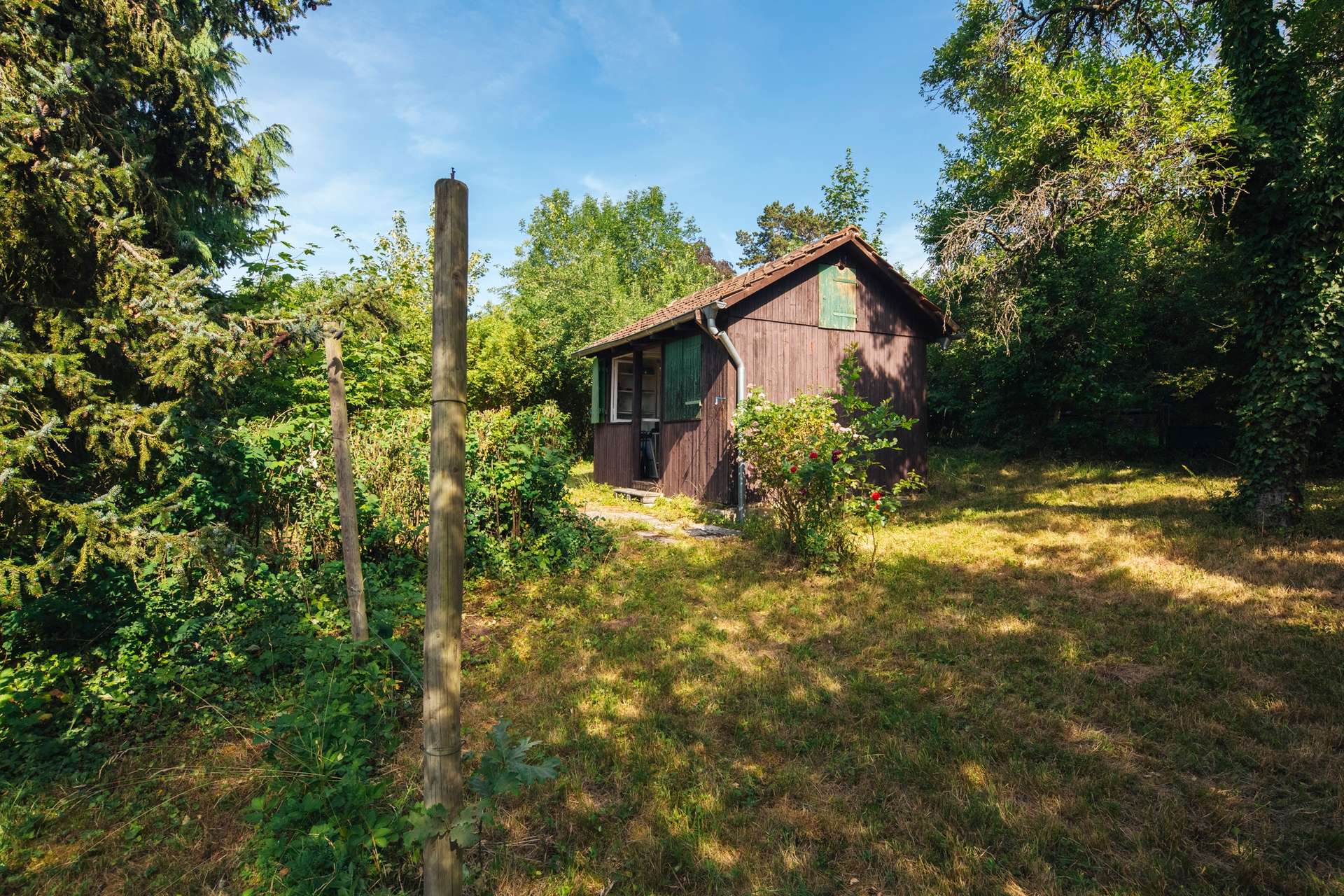 Bestandshaus Garten 1