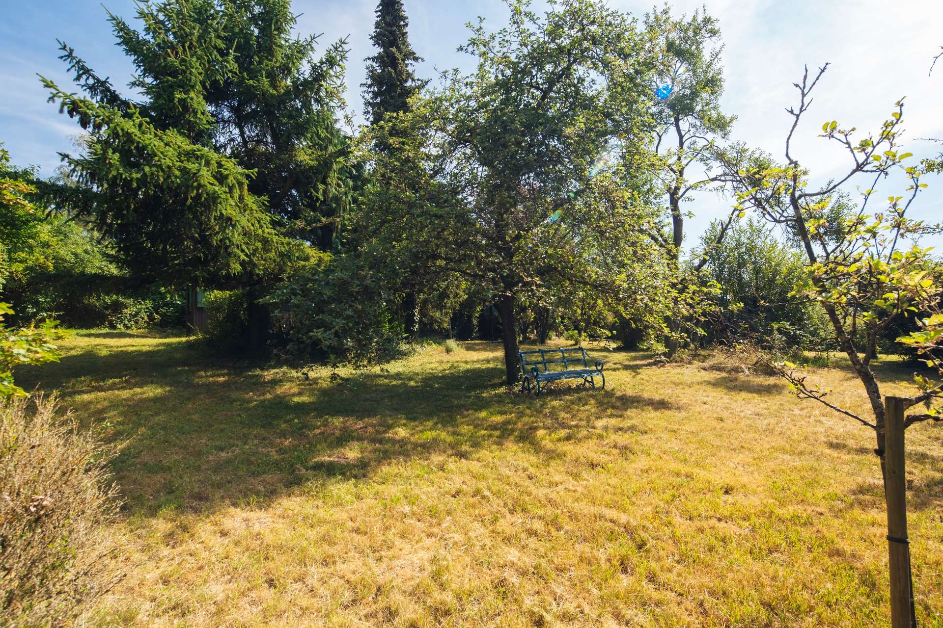 Garten 1