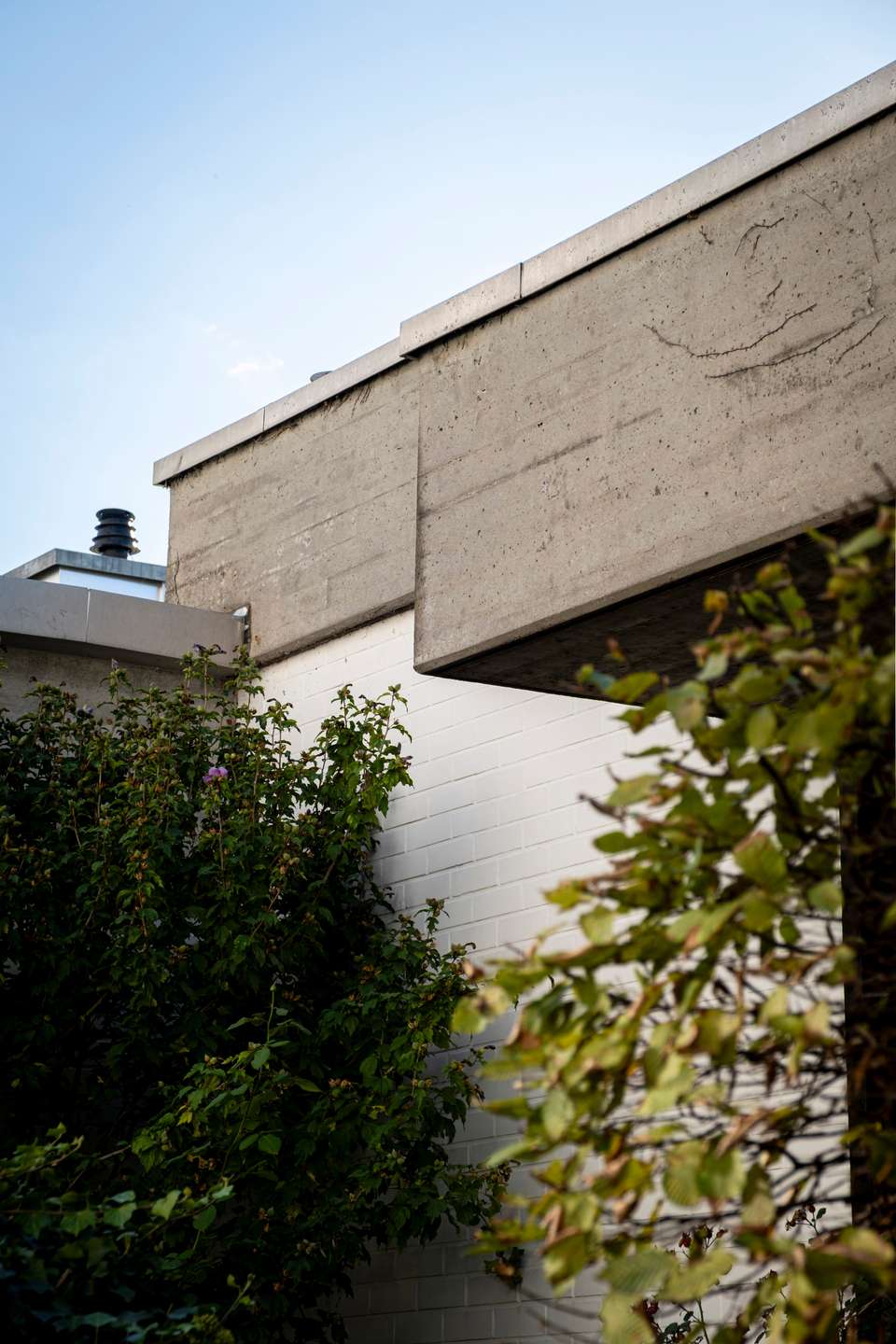 Renovierungsbedürftiger Atrium-Bungalow mit Garten in Handschuhsheim