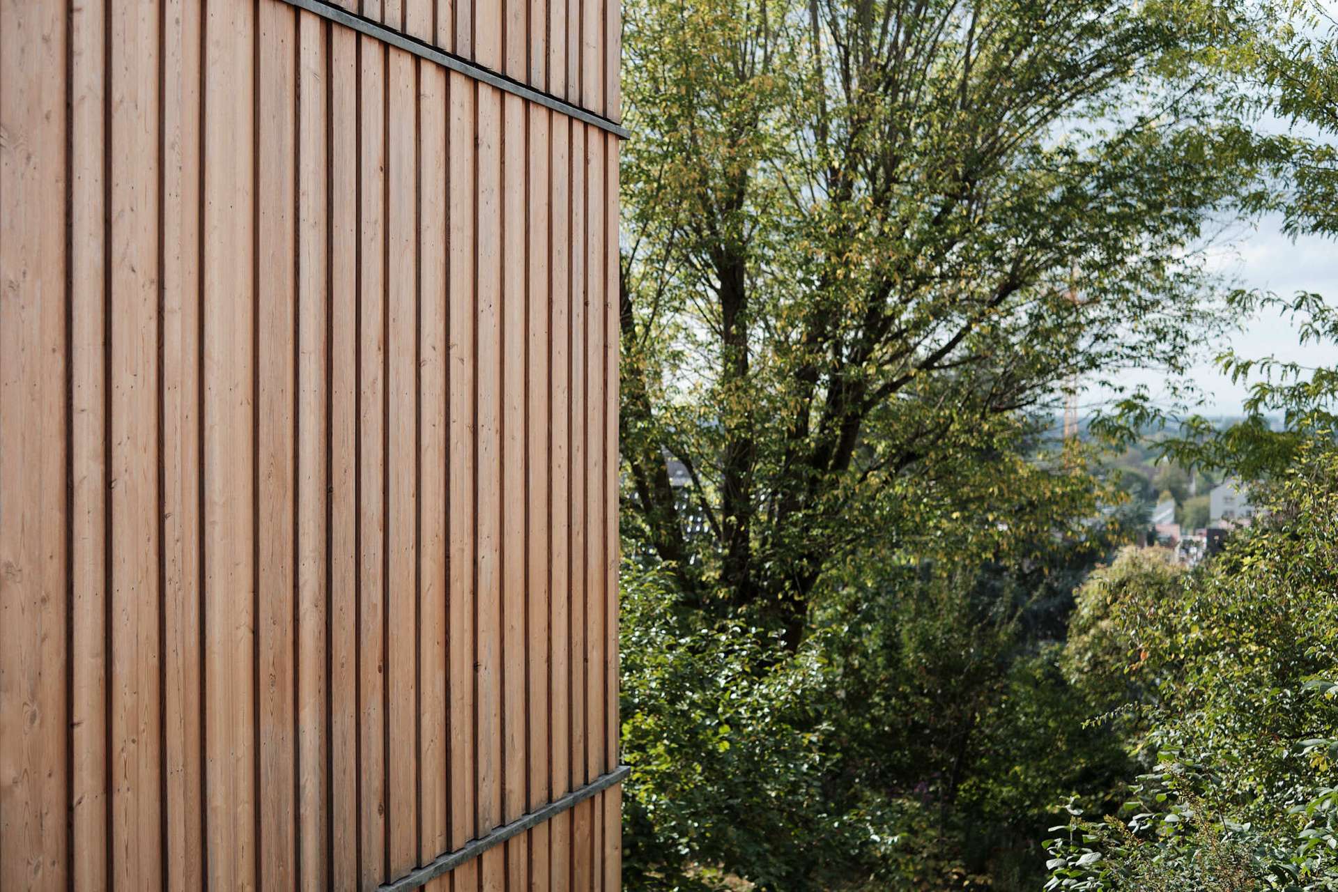 Nachhaltige Villa in Bestlage der Südstadt