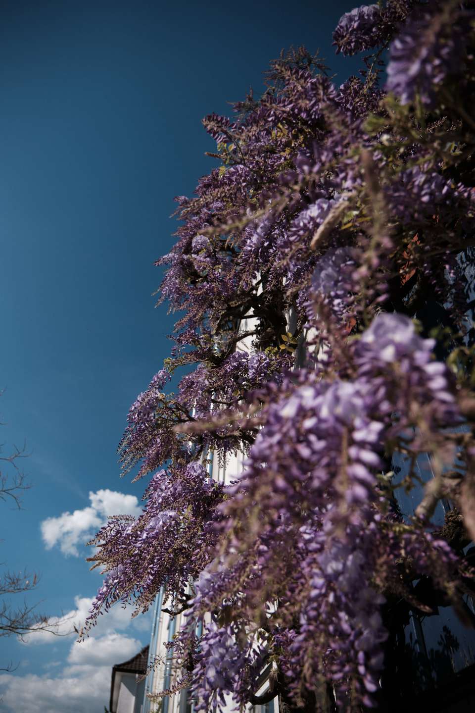 Viel Licht, Dachterrasse und das Feld direkt vor der Tür
