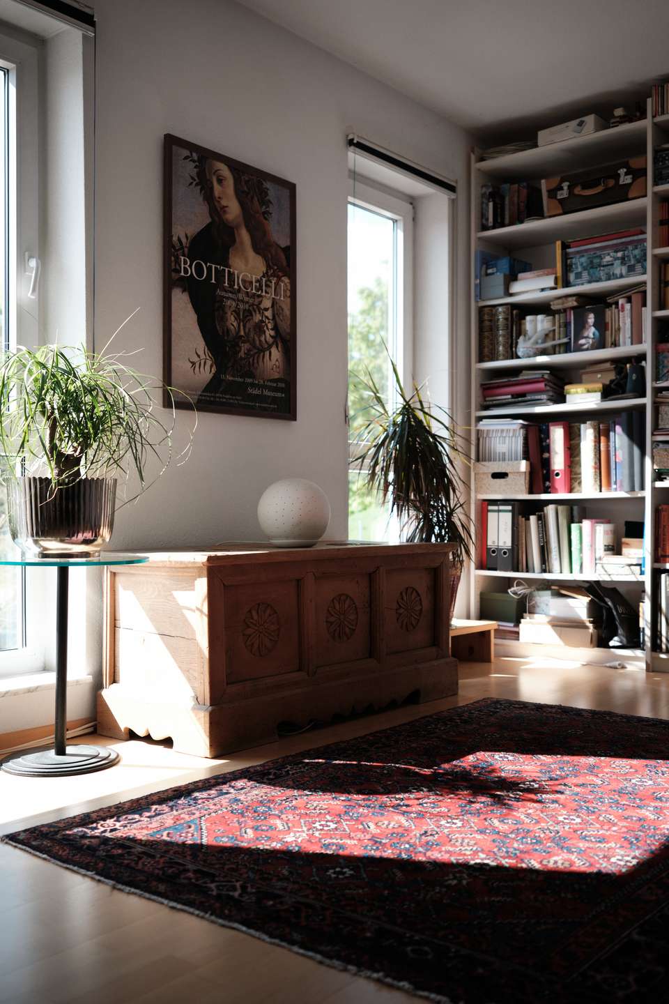 Viel Licht, Dachterrasse und das Feld direkt vor der Tür