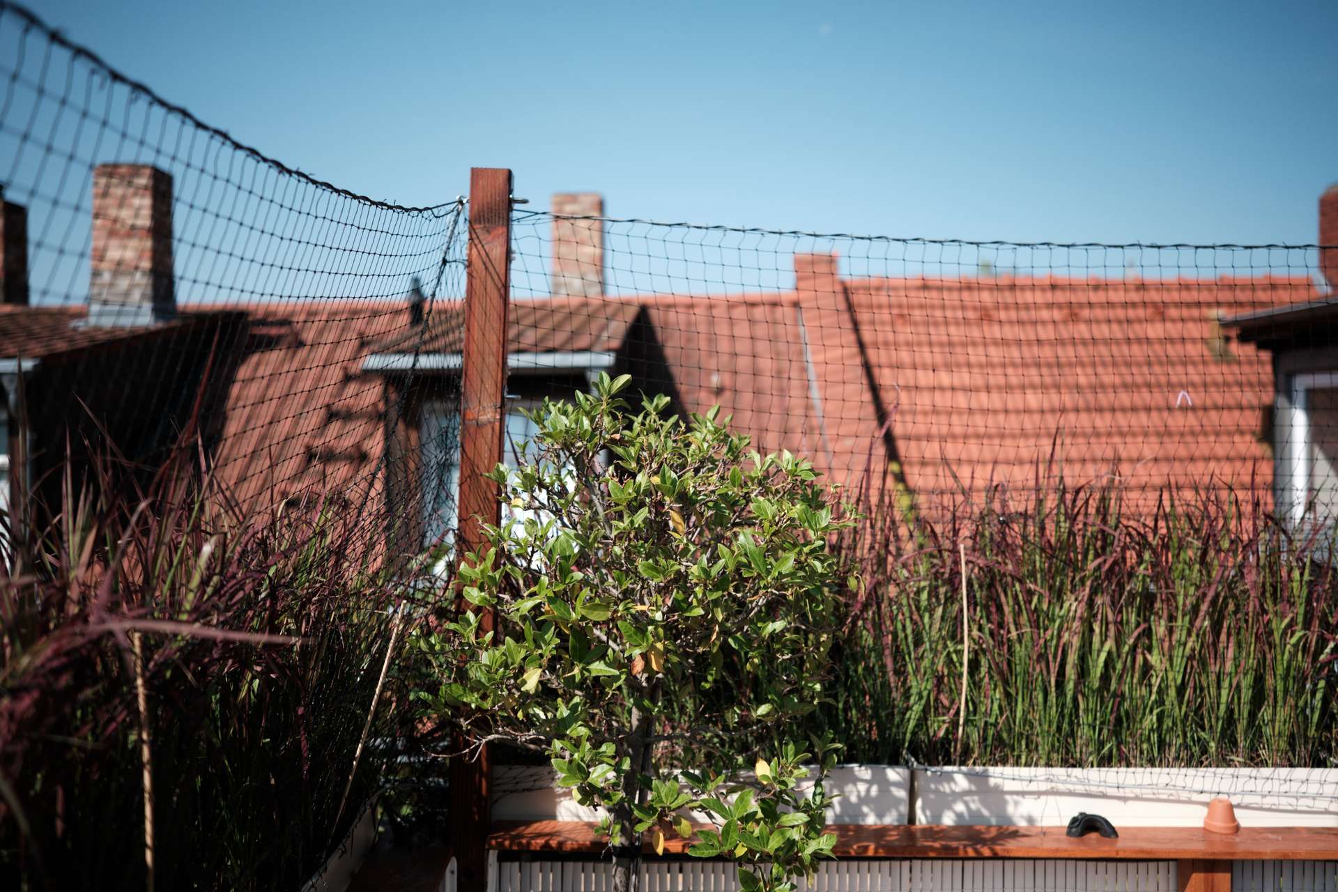 Maisonnette mit Dachterrasse in Neuenheim