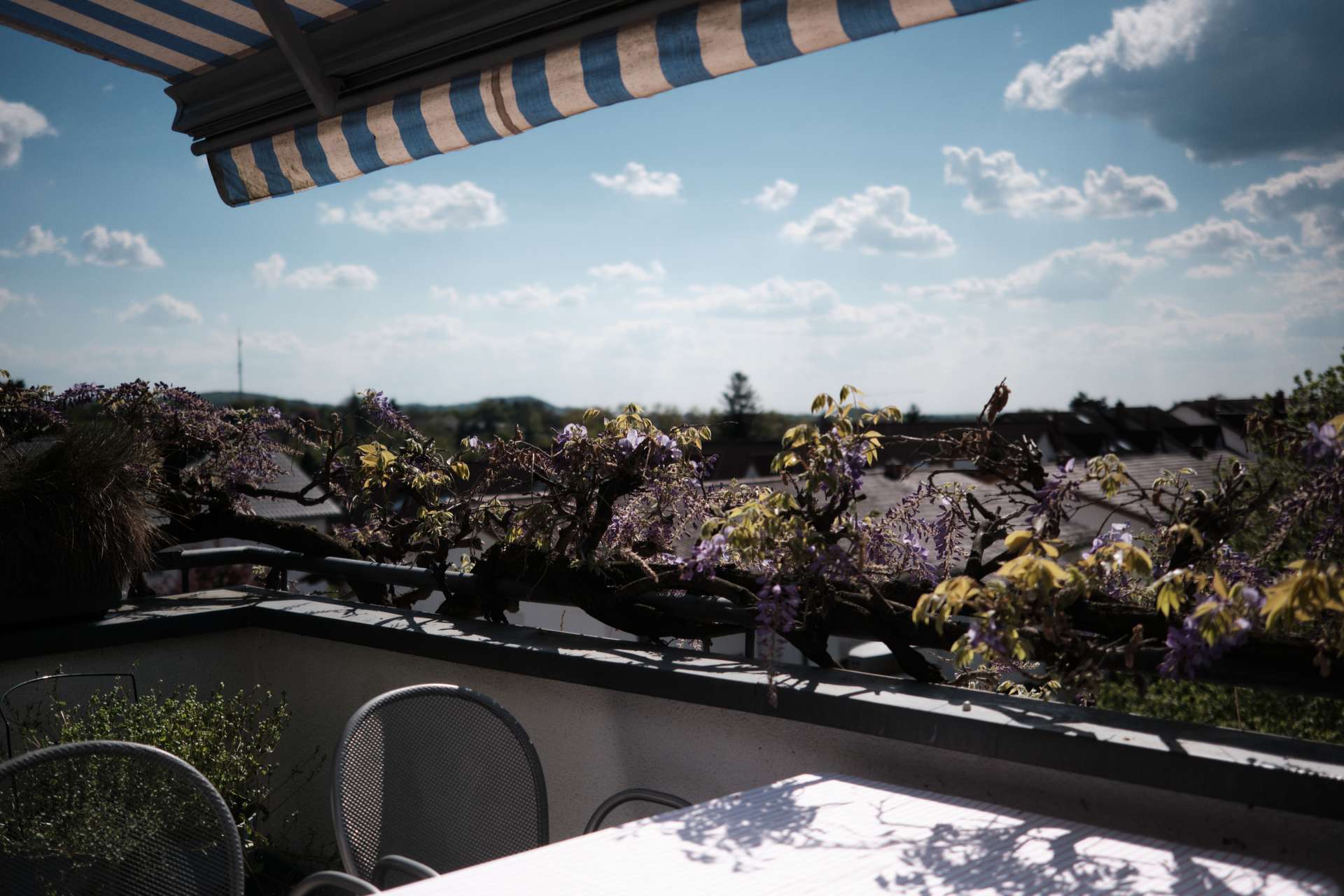 Viel Licht, Dachterrasse und das Feld direkt vor der Tür