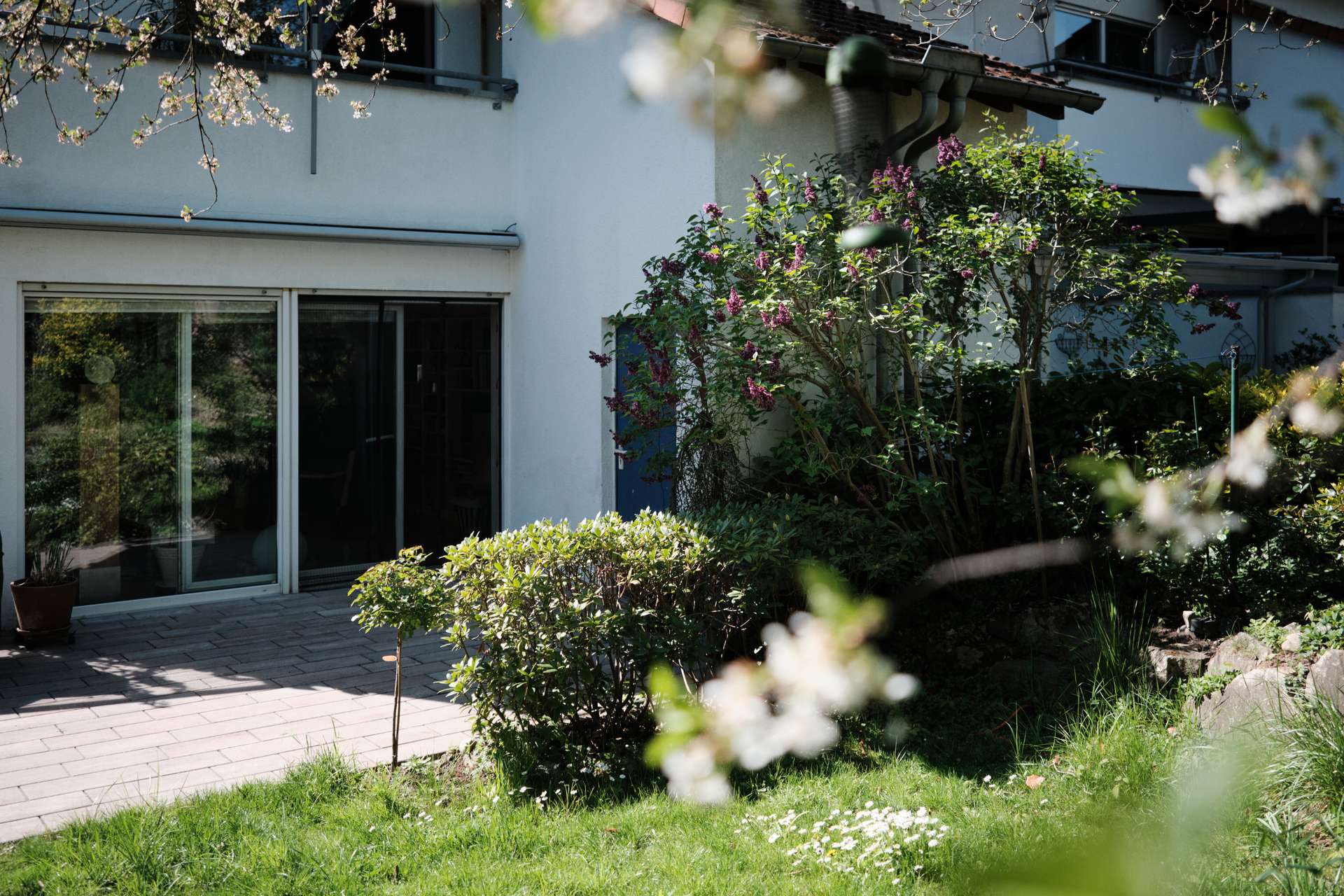 Viel Licht, Dachterrasse und das Feld direkt vor der Tür