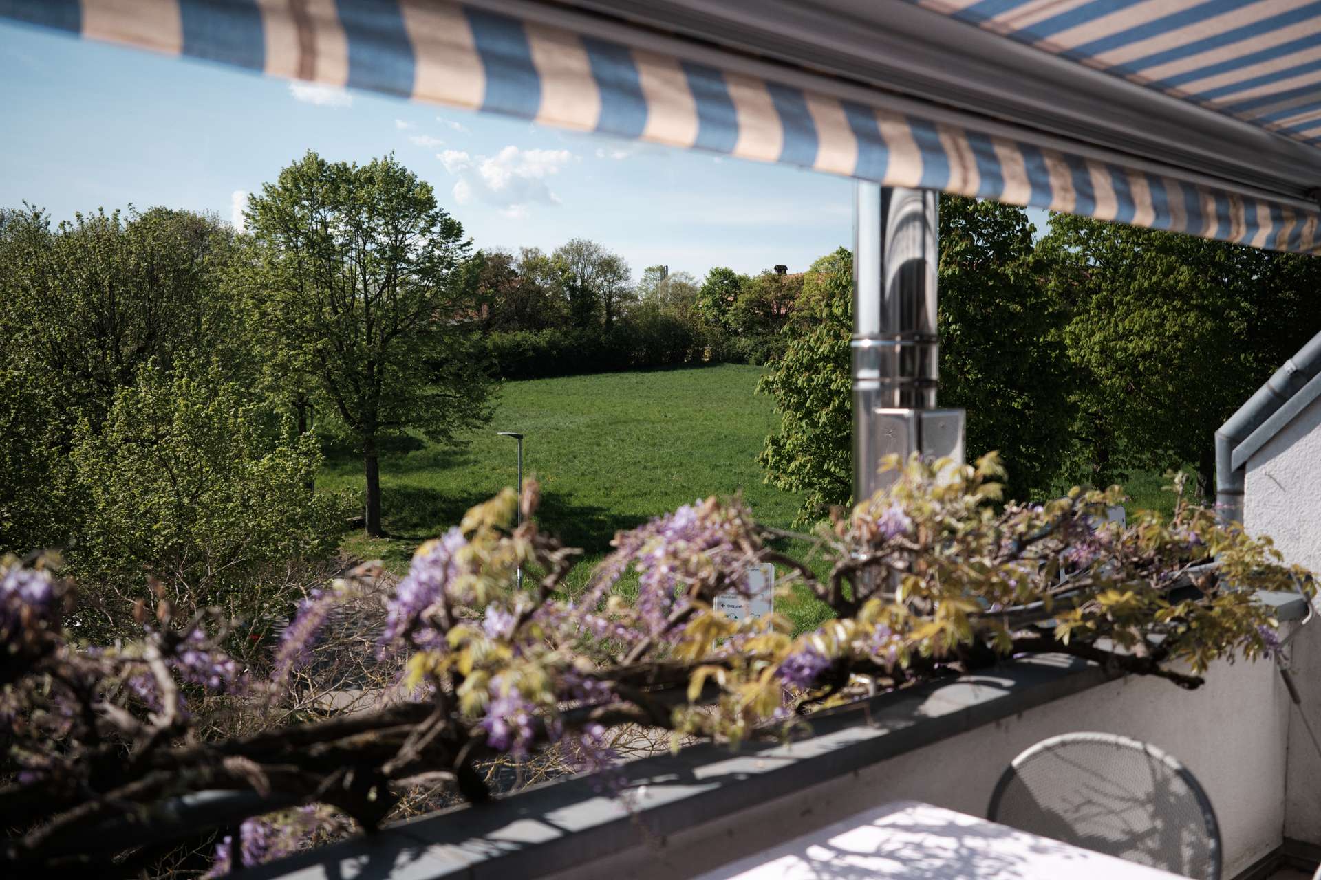 Viel Licht, Dachterrasse und das Feld direkt vor der Tür