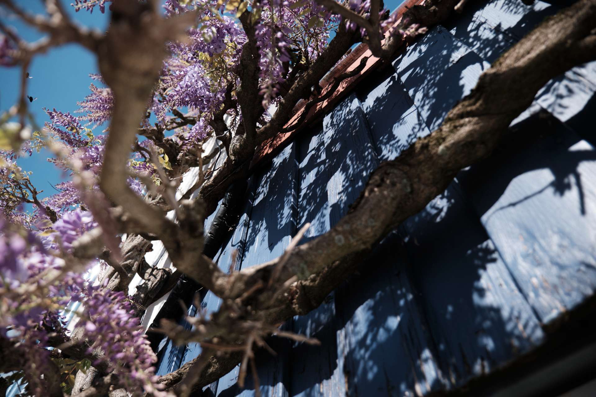 Viel Licht, Dachterrasse und das Feld direkt vor der Tür