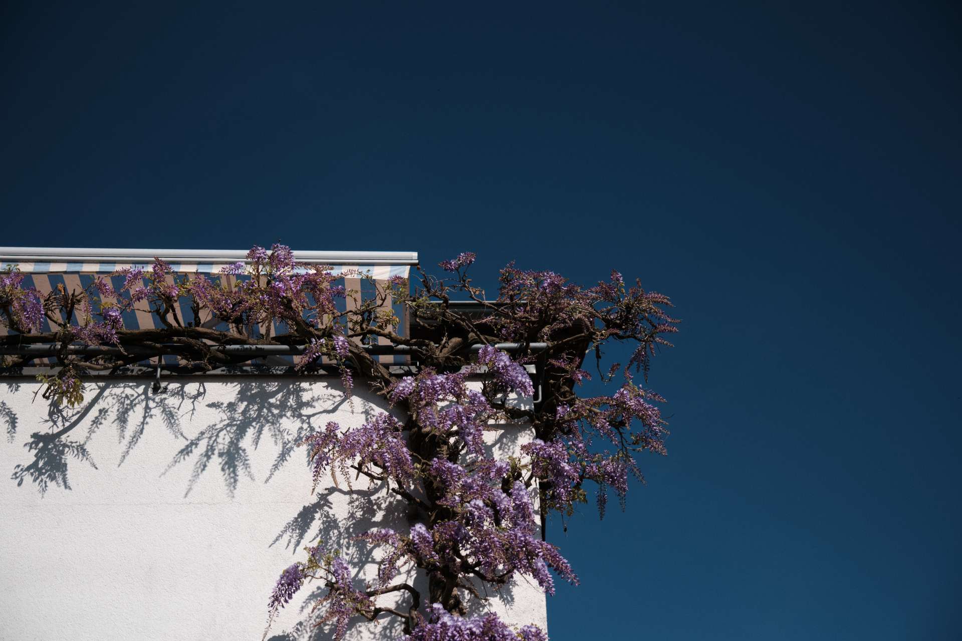 Viel Licht, Dachterrasse und das Feld direkt vor der Tür
