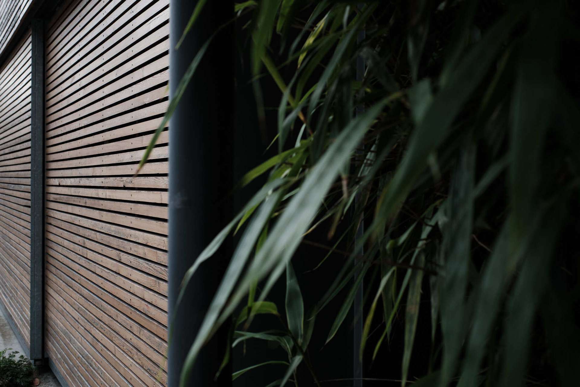 Nachhaltige Villa in Bestlage der Südstadt