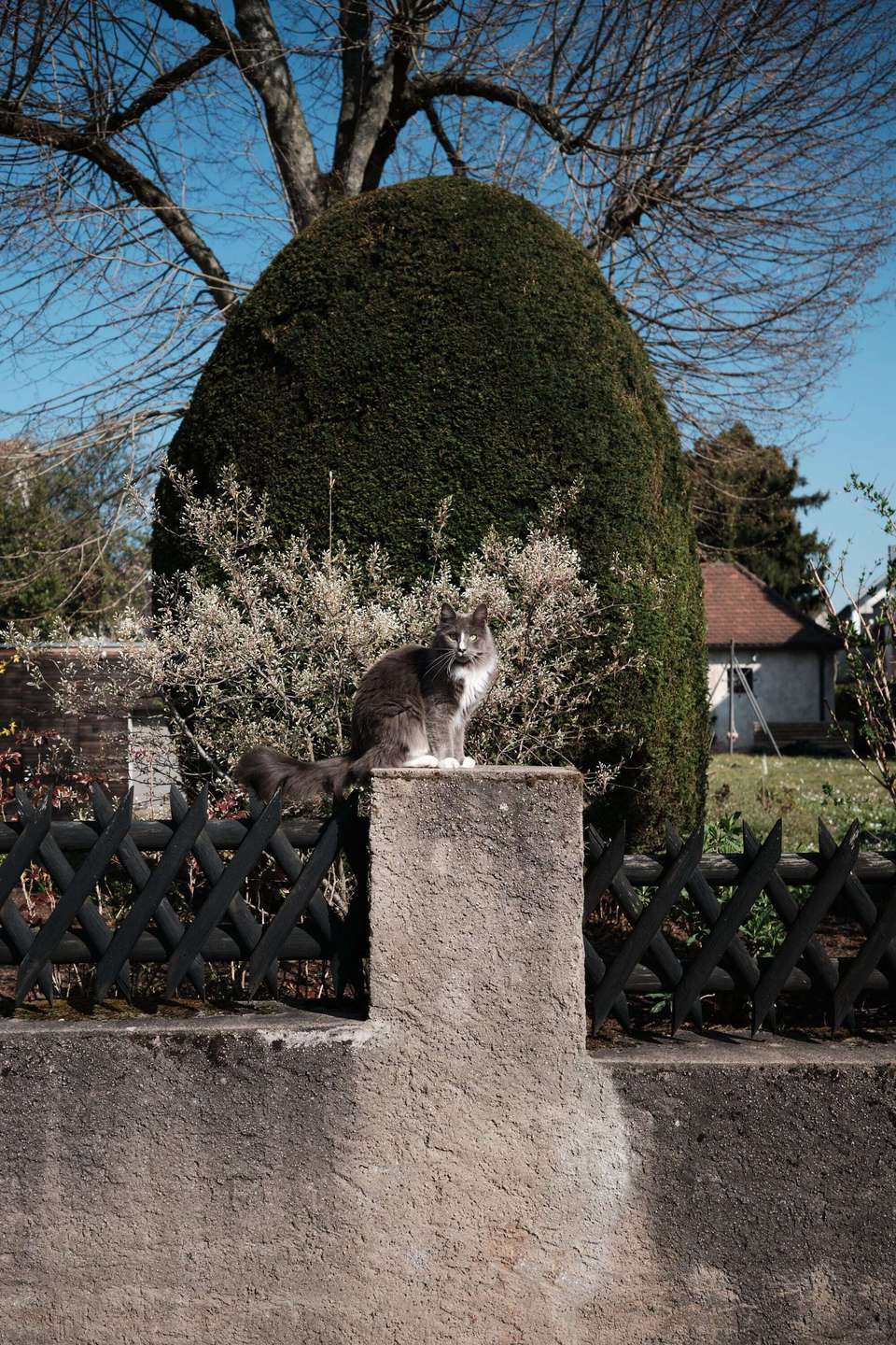 Zurückhaltender Luxus im besten Viertel der Stadt