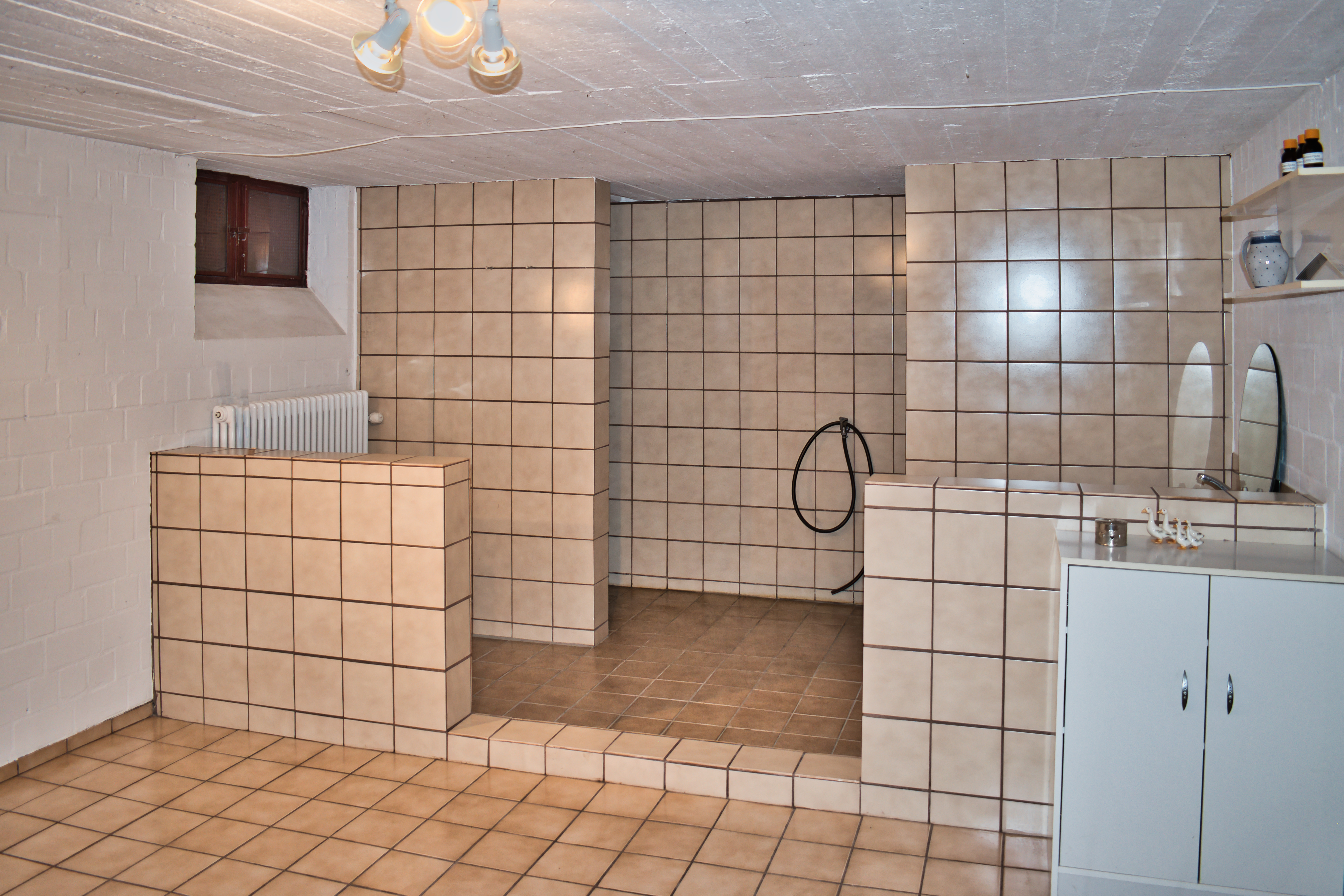 Dusche im Keller