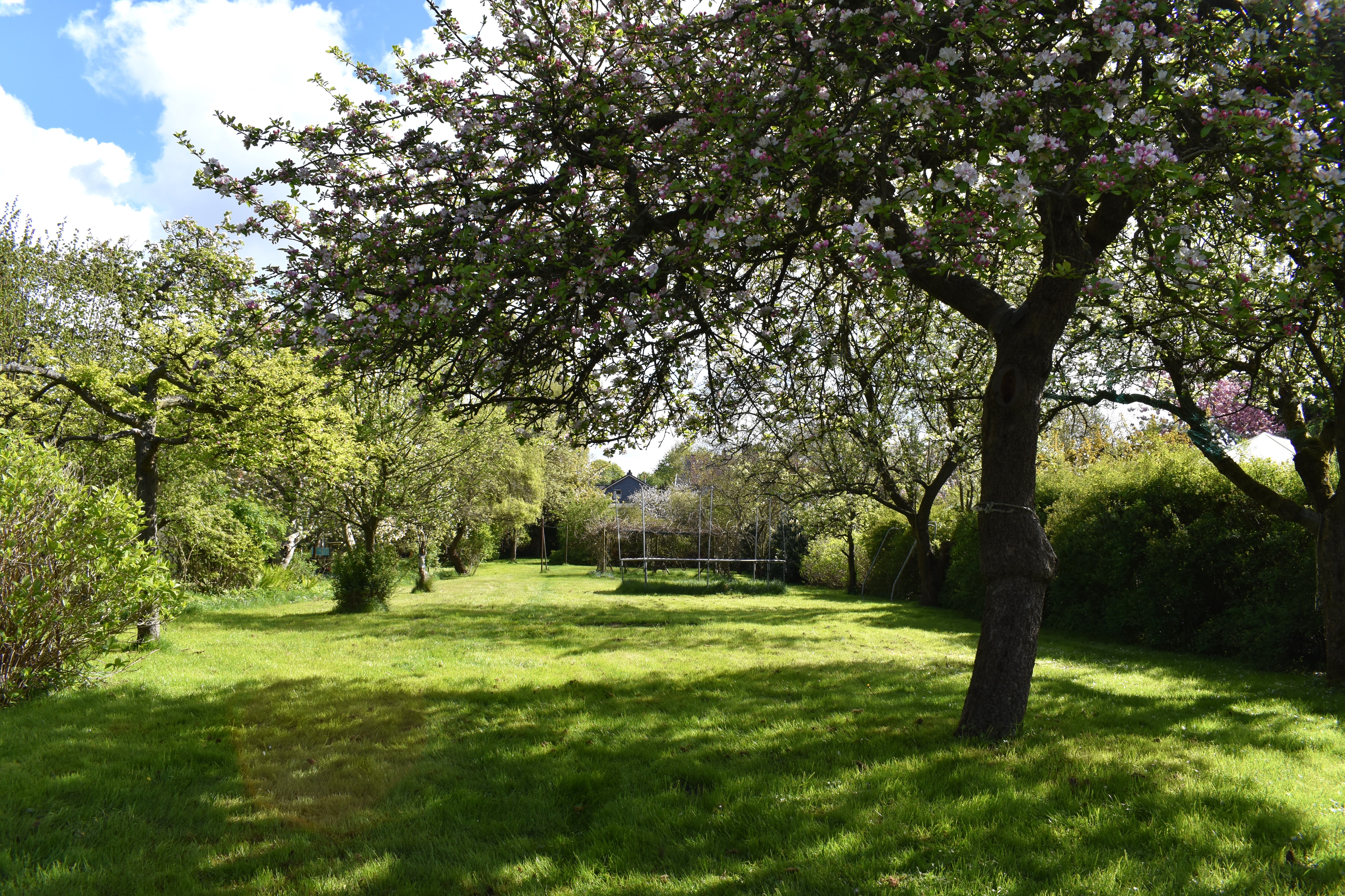 Baugrundstück mit vielen Optionen (Tiny House, Mehrfamilienhaus etc.) zu verkaufen!