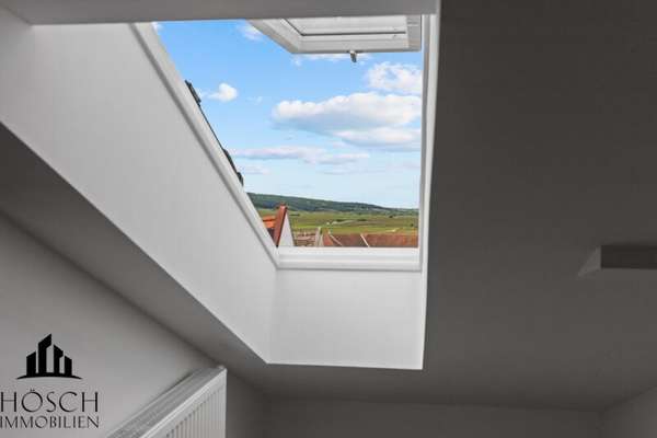 Dachfenster