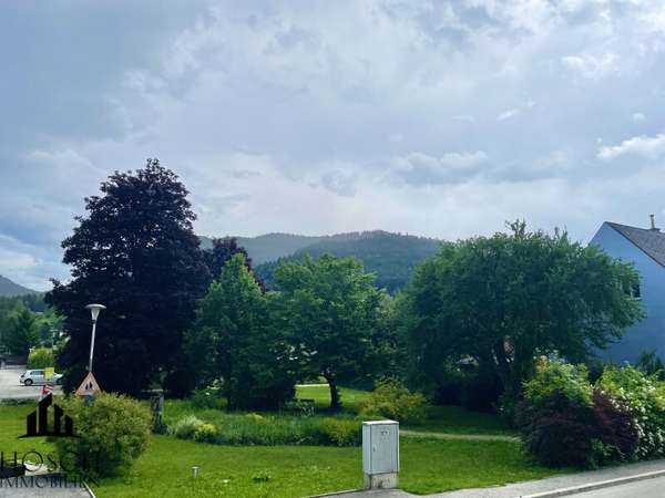 Ausblick