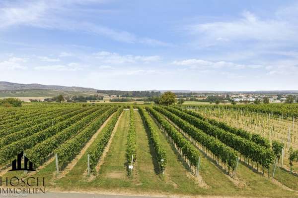 Weinberg