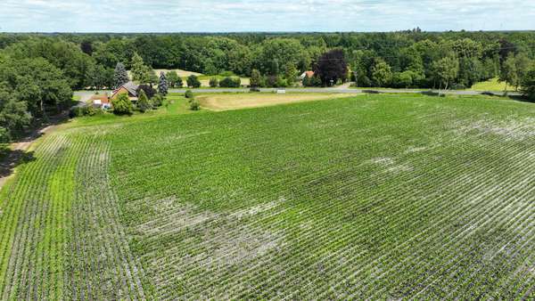 Heidberger Str. 80 a – 1231