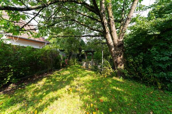 Auf dem Bockhorn 13 – 1300