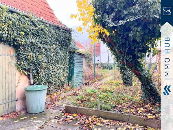 Garten (1) – Bild 9