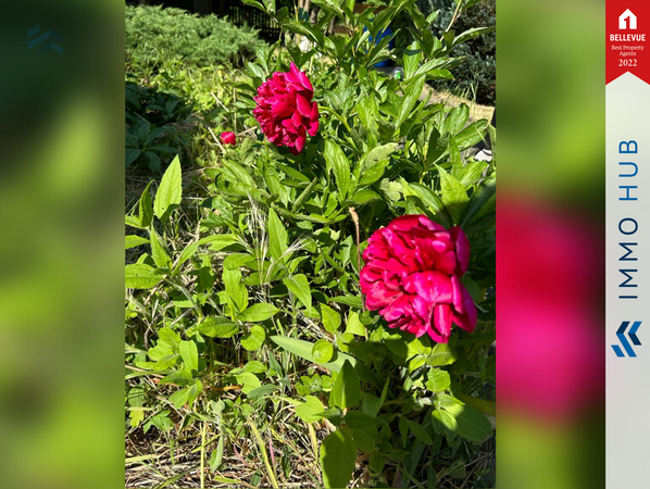 Details Gartenpng – Bild 8